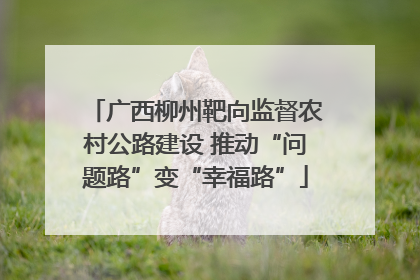 广西柳州靶向监督农村公路建设 推动“问题路”变“幸福路”