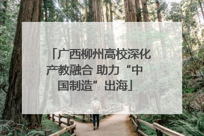 广西柳州高校深化产教融合 助力“中国制造”出海