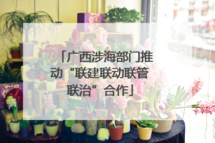 广西涉海部门推动“联建联动联管联治”合作