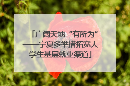 广阔天地“有所为”——宁夏多举措拓宽大学生基层就业渠道