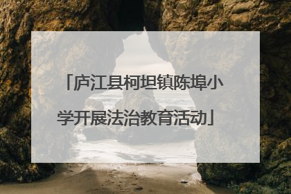 庐江县柯坦镇陈埠小学开展法治教育活动