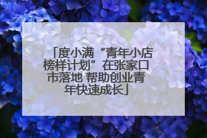 度小满“青年小店榜样计划”在张家口市落地 帮助创业青年快速成长