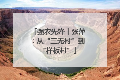 强农先锋丨张萍：从“三无村”到“样板村”