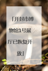 开封市博物馆1号展厅已恢复开放