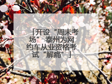 开设“周末考场” 泰州为网约车从业资格考试“解痛”