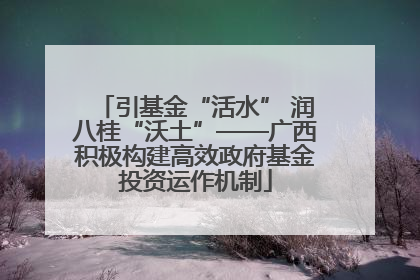 引基金“活水” 润八桂“沃土”——广西积极构建高效政府基金投资运作机制