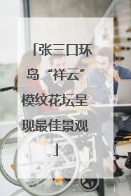 张三口环岛“祥云”模纹花坛呈现最佳景观
