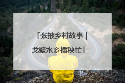 张掖乡村故事｜戈壁水乡插秧忙