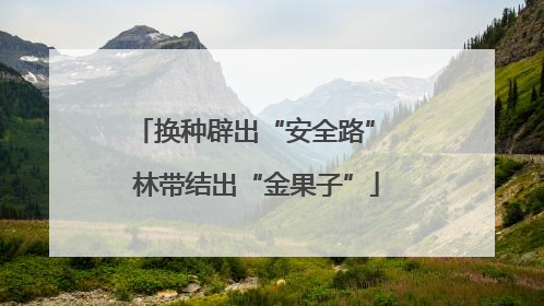 换种辟出“安全路” 林带结出“金果子”