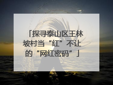 探寻泰山区王林坡村当“红”不让的“网红密码”