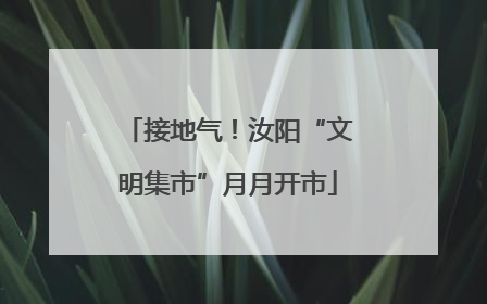 接地气！汝阳“文明集市”月月开市