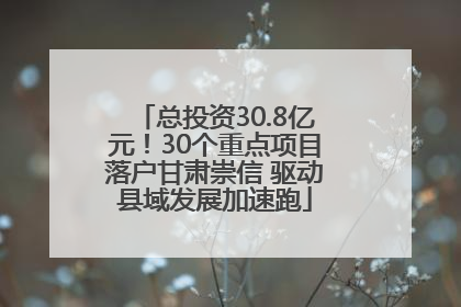 总投资30.8亿元！30个重点项目落户甘肃崇信 驱动县域发展加速跑