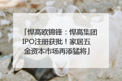 悍高欧锦锋：悍高集团IPO注册获批！家居五金资本市场再添猛将