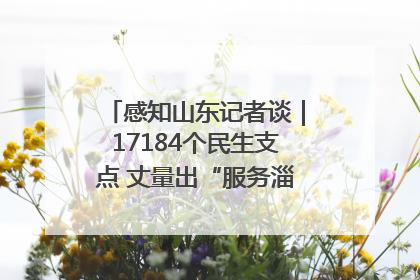 感知山东记者谈｜17184个民生支点 丈量出“服务淄博”的文明温度
