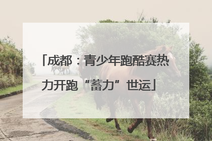 成都：青少年跑酷赛热力开跑“蓄力”世运