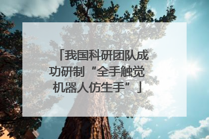 我国科研团队成功研制“全手触觉机器人仿生手”