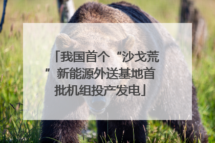我国首个“沙戈荒”新能源外送基地首批机组投产发电
