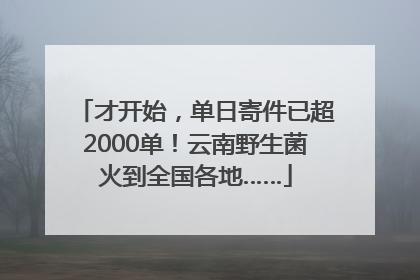 才开始，单日寄件已超2000单！云南野生菌火到全国各地……
