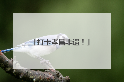 打卡孝昌非遗！