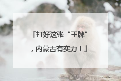 打好这张“王牌”，内蒙古有实力！