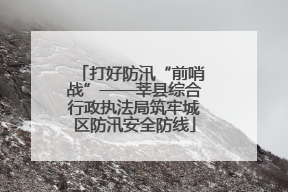 打好防汛“前哨战”——莘县综合行政执法局筑牢城区防汛安全防线