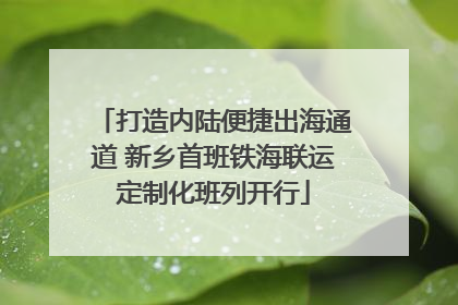 打造内陆便捷出海通道 新乡首班铁海联运定制化班列开行