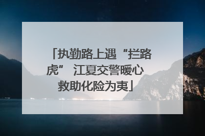 执勤路上遇“拦路虎” 江夏交警暖心救助化险为夷