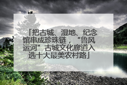 把古城、湿地、纪念馆串成珍珠链，“鲁风运河”古城文化廊道入选十大最美农村路