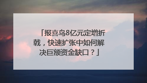 报喜鸟8亿元定增折戟，快速扩张中如何解决巨额资金缺口？