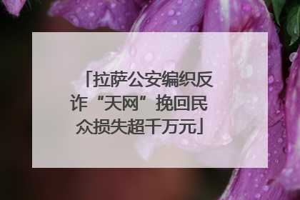 拉萨公安编织反诈“天网”挽回民众损失超千万元