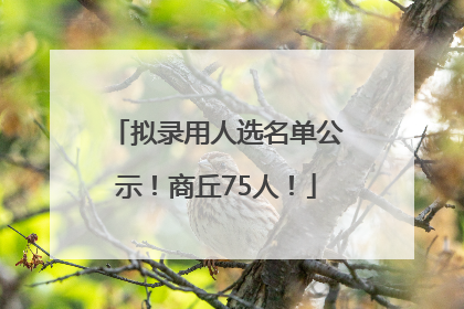拟录用人选名单公示！商丘75人！