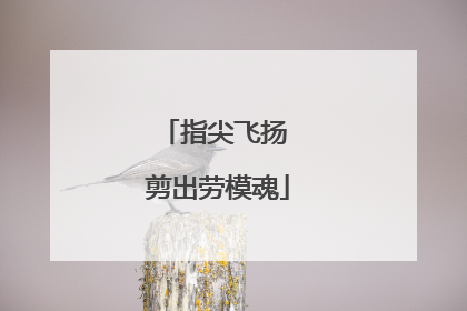 指尖飞扬 剪出劳模魂