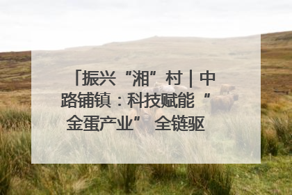 振兴“湘”村｜中路铺镇：科技赋能“金蛋产业” 全链驱动乡村振兴