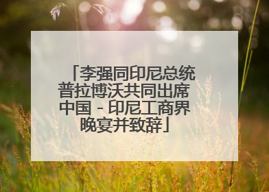 李强同印尼总统普拉博沃共同出席中国－印尼工商界晚宴并致辞