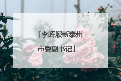 李晖履新泰州市委副书记