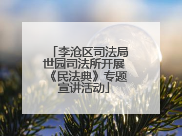 李沧区司法局世园司法所开展《民法典》专题宣讲活动