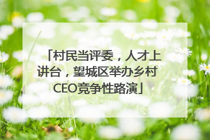 村民当评委，人才上讲台，望城区举办乡村CEO竞争性路演