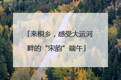 来桐乡，感受大运河畔的“宋韵”端午