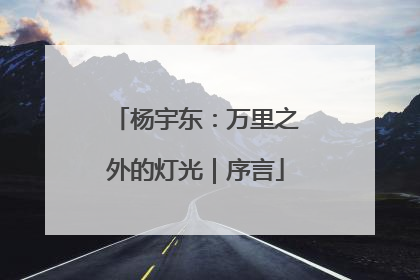 杨宇东：万里之外的灯光｜序言