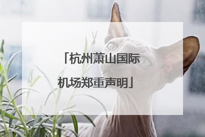 杭州萧山国际机场郑重声明