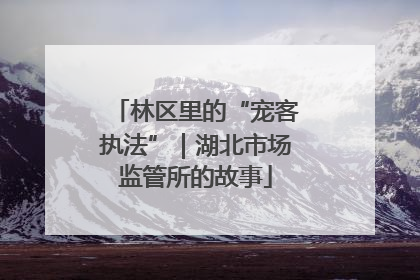 林区里的“宠客执法”｜湖北市场监管所的故事