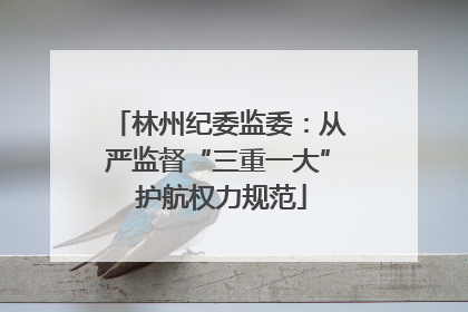 林州纪委监委：从严监督“三重一大” 护航权力规范