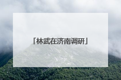 林武在济南调研