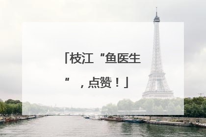 枝江“鱼医生”，点赞！
