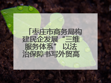 枣庄市商务局构建民企发展“三维服务体系” 以法治保障书写外贸高质量答卷