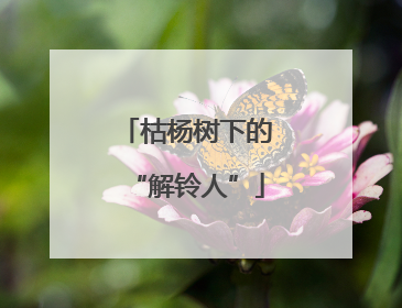 枯杨树下的“解铃人”