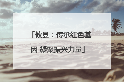 攸县：传承红色基因 凝聚振兴力量