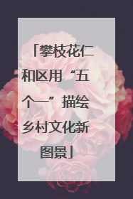 攀枝花仁和区用“五个一”描绘乡村文化新图景