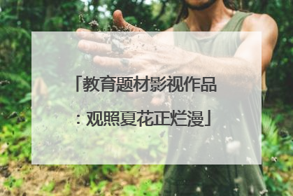 教育题材影视作品：观照夏花正烂漫