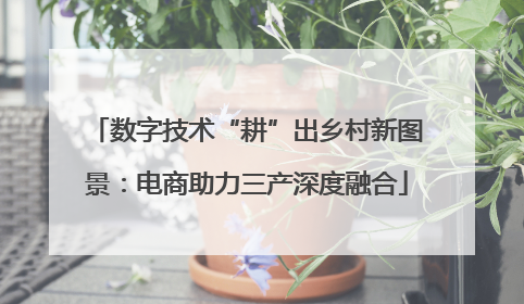 数字技术“耕”出乡村新图景：电商助力三产深度融合